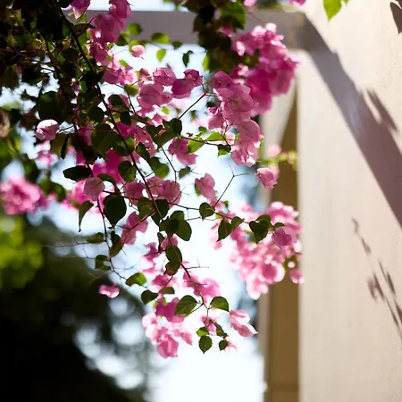 Hotell Miraluna Kiotari