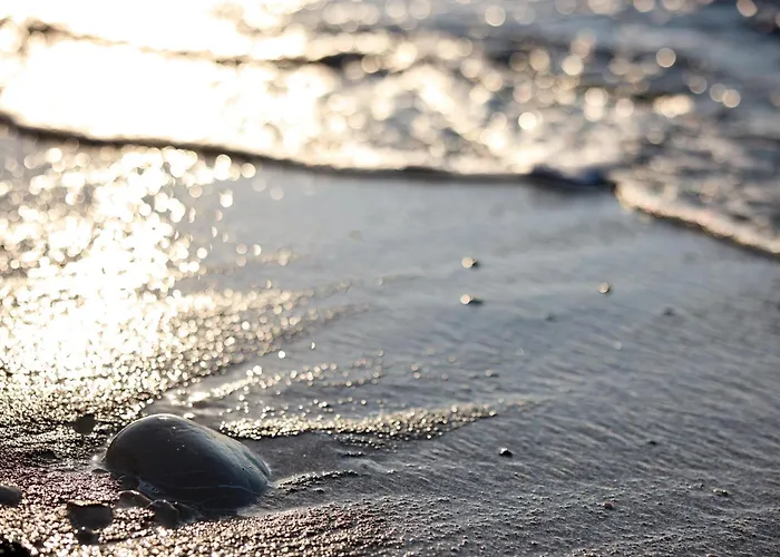 호텔 Miraluna 키오타리